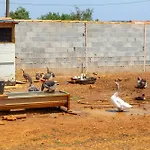 Quinta Da Ponte شقة