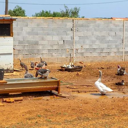 Quinta Da Ponte Apartamento