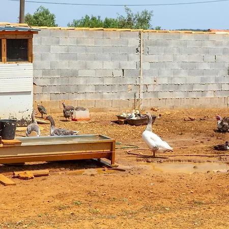 Apartment Quinta Da Ponte