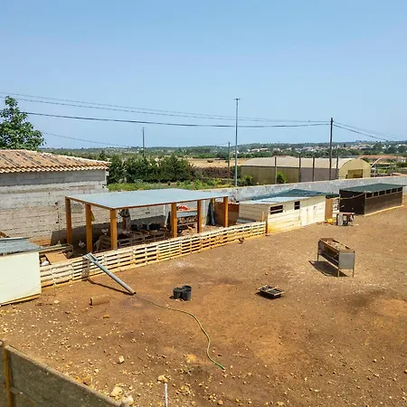 Apartment Quinta Da Ponte