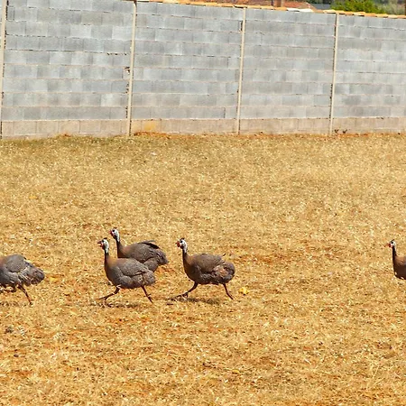 Apartment Quinta Da Ponte *